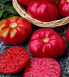 Tomate Caspian Pink - 20 Sementes - Frete Grátis