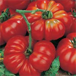 Tomate Ponderosa Red - 20 Sementes - Frete Grátis